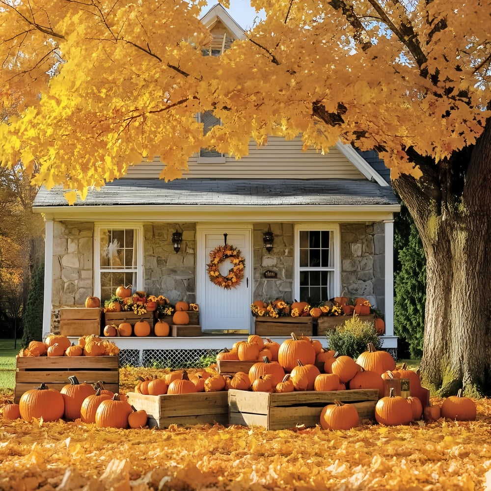 Fall Backdrop For Pictures Golden Tree Cottage Backdrop CSH6-222