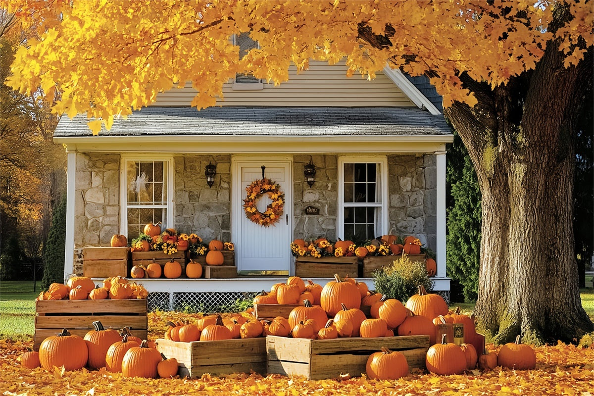 Fall Backdrop For Pictures Golden Tree Cottage Backdrop CSH6-222