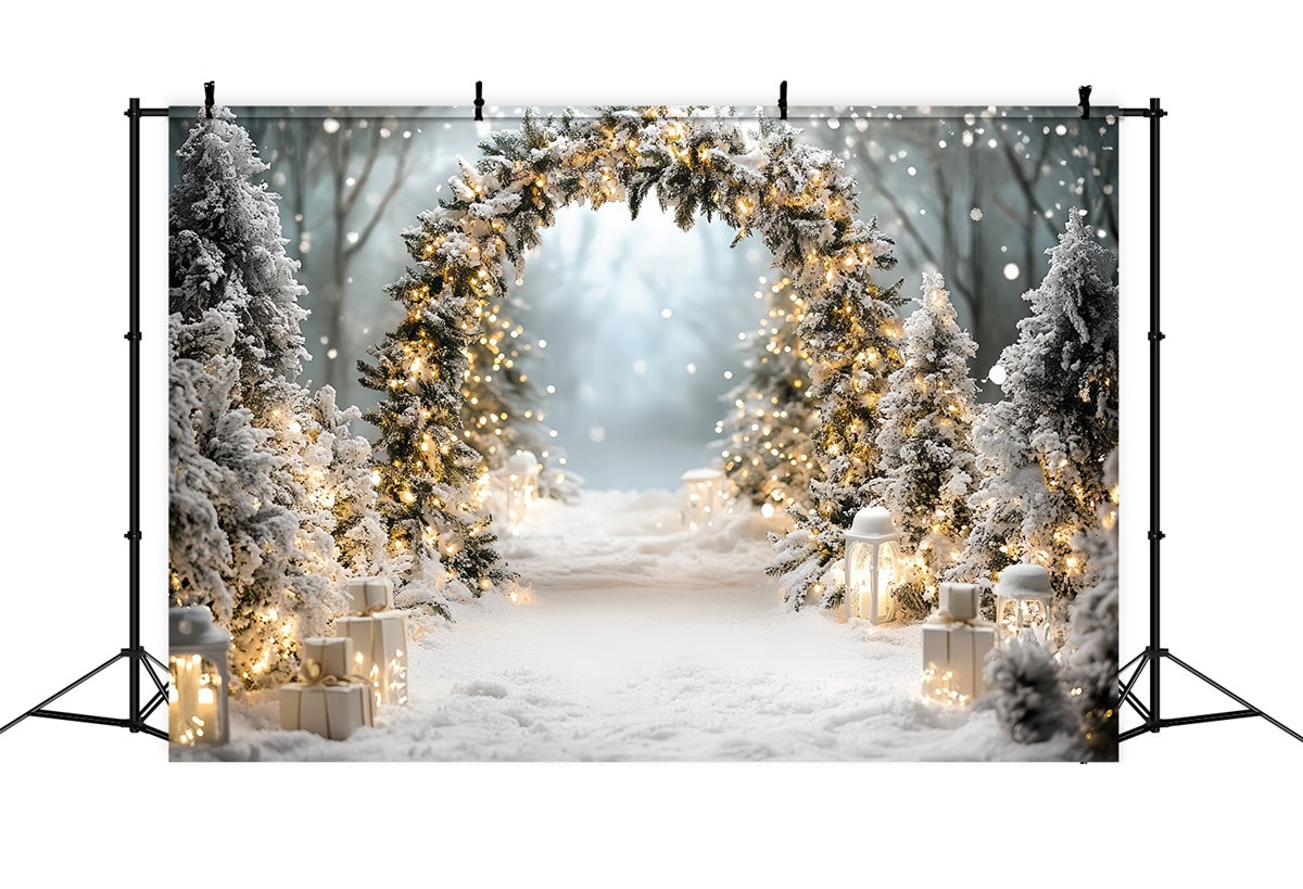 Christmas Backdrop For Photos Winter Wonderland Arch Backdrop CSH6-244