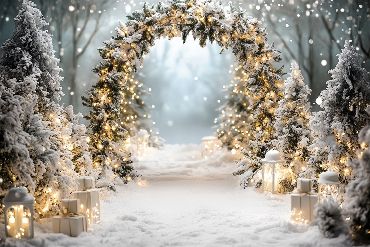 Christmas Backdrop For Photos Winter Wonderland Arch Backdrop CSH6-244