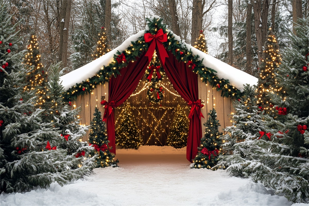 Christmas Photo Backdrop Holiday Barn Wonderland Backdrop CSH6-249