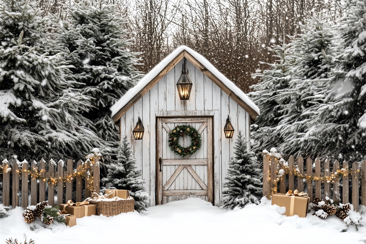 Christmas Photography Backdrops Rustic Holiday Hut Backdrop CSH6-269
