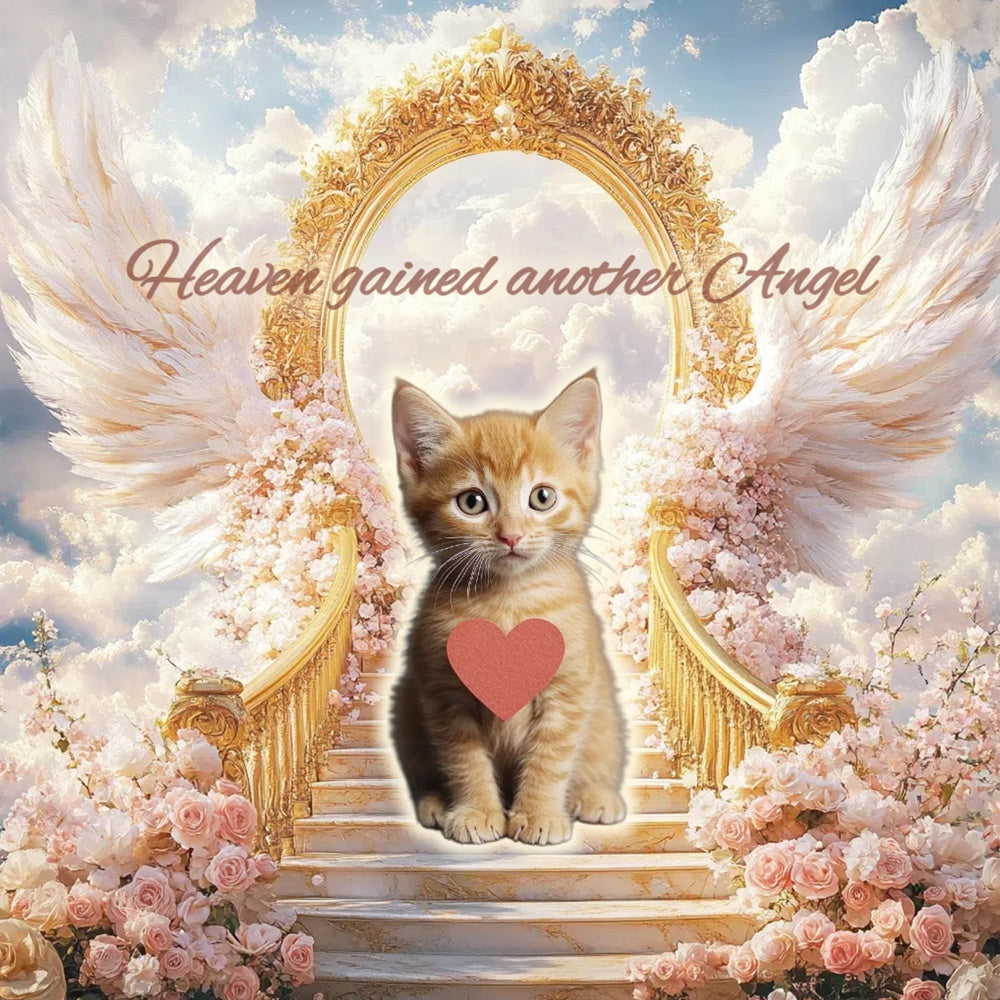 Memorial Backdrops Golden Gate Kitten Tribute Custom Backdrop CSH6-342