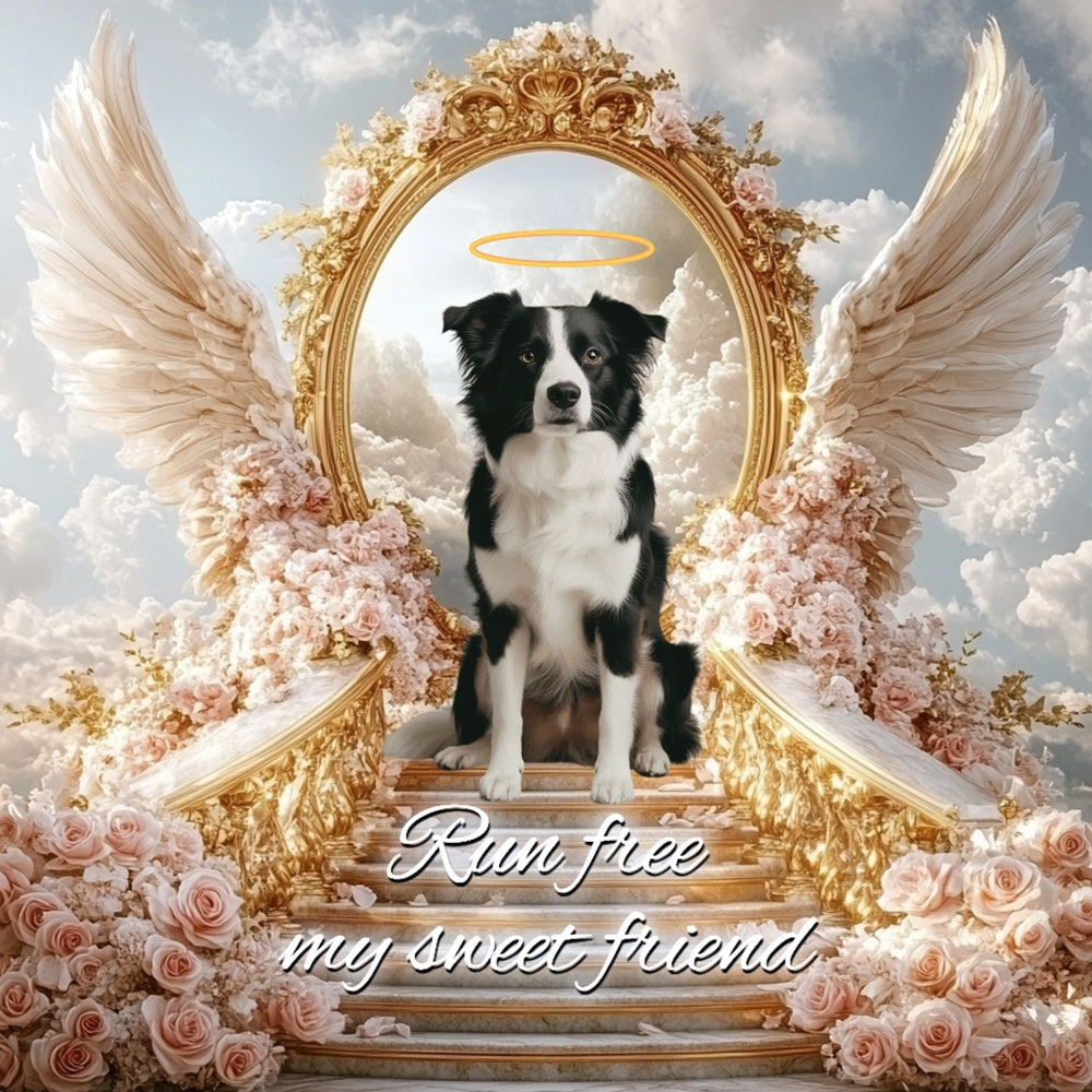 Memorial Backdrop Ideas Run Free Angel Pup Customized Backdrop CSH6-343