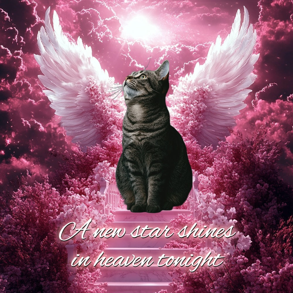 Memorial Backdrops Flower Cloud Starglow Personalized Backdrop CSH6-348