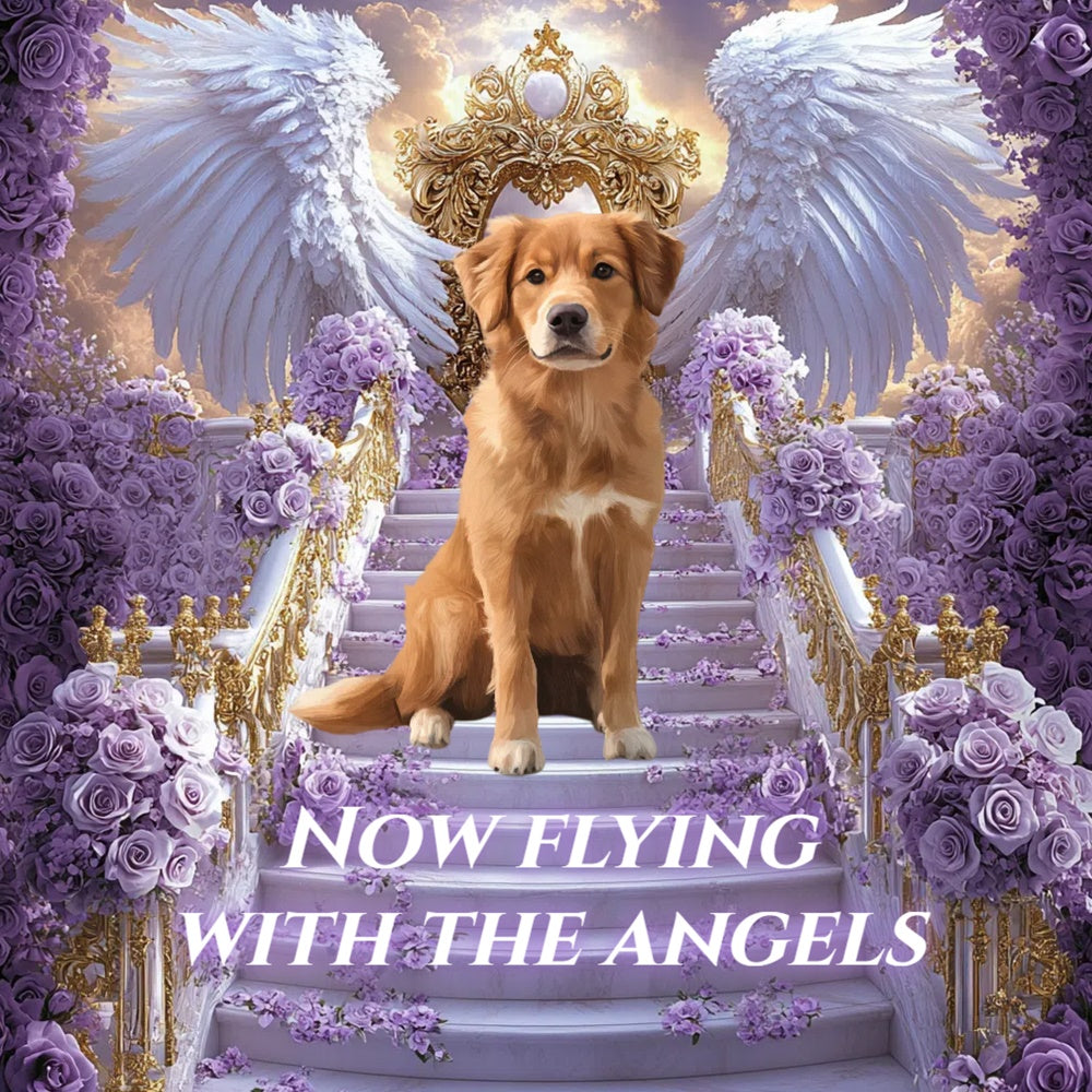 Memorial Backdrop Lavender Wings Pet Tribute Custom Backdrop CSH6-349