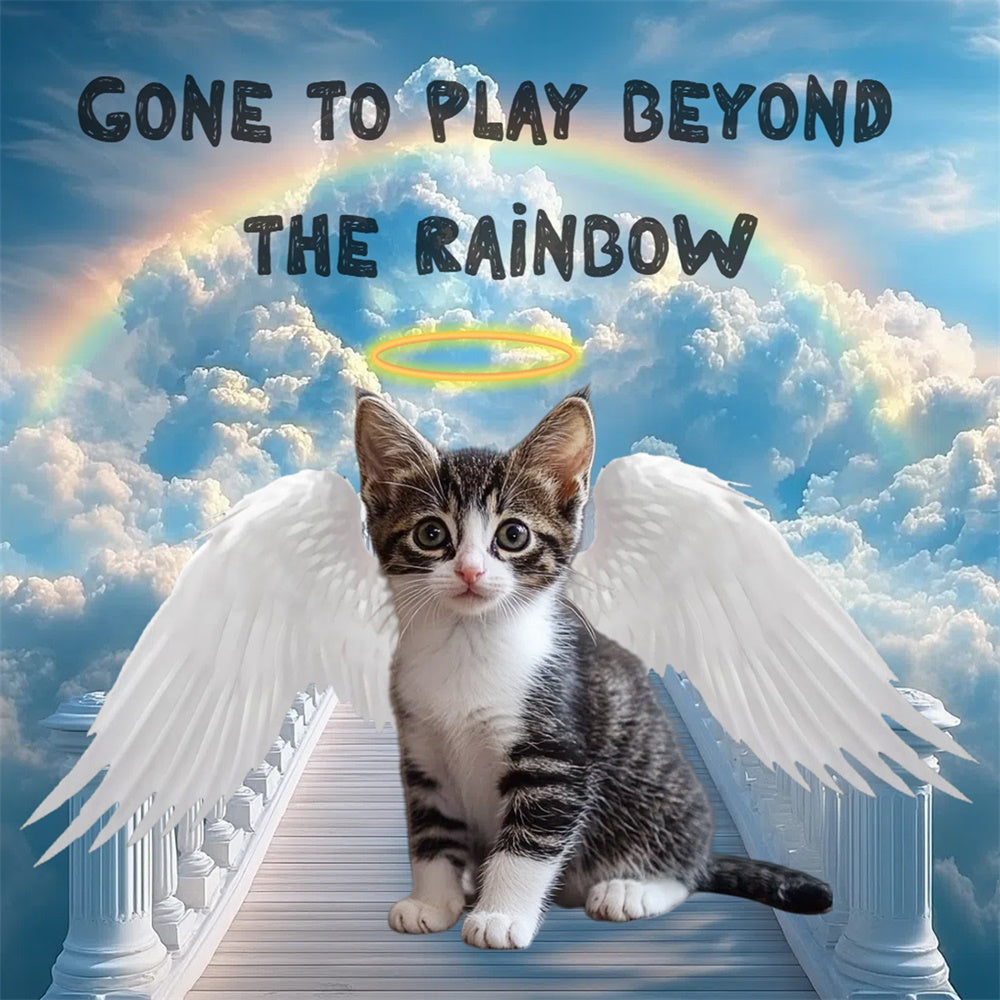 Memorial Backdrop Ideas Angel Kitten Rainbow Customized Backdrop CSH6-354