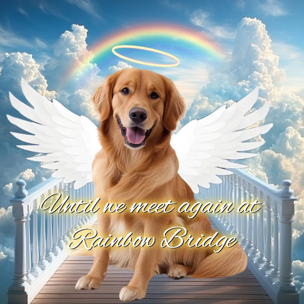 Memorial Backdrops Rainbow Bridge Pup Tribute Custom Backdrop CSH6-355