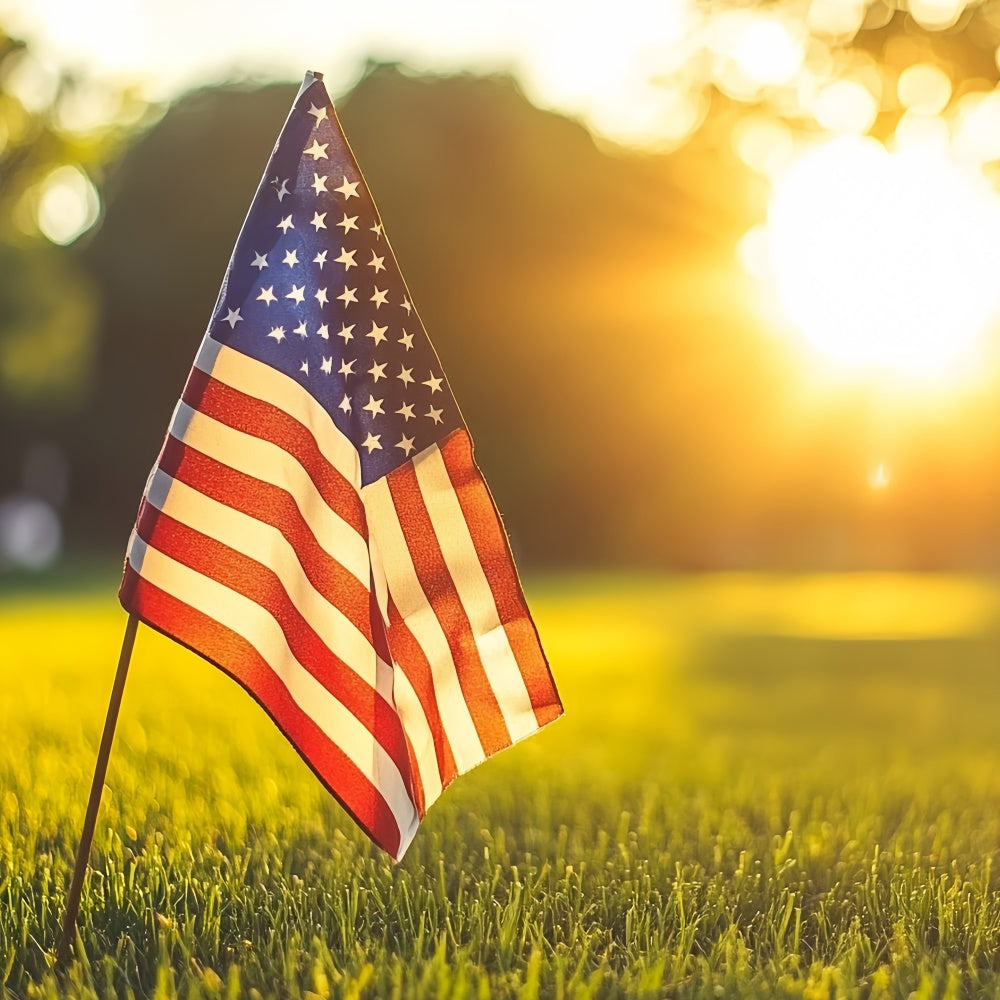 Independence Day Backdrop Patriotic Sunset Serenity Backdrop CSH6-40