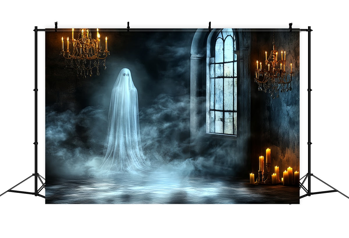 Photography Halloween Backdrop Ghostly Gothic Window Backdrop CSH6-78