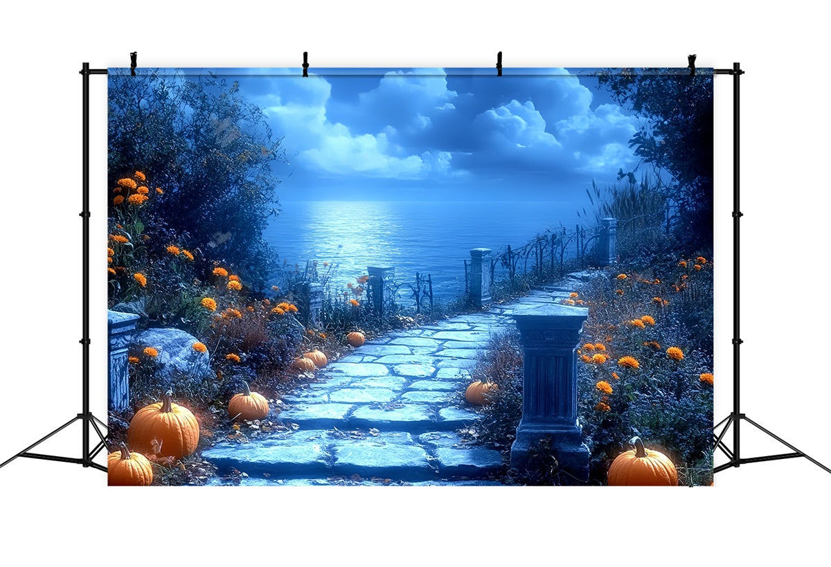 Halloween Photography Backdrops Moonlit Pumpkin Path Backdrop CSH6-86