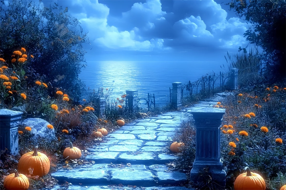 Halloween Photography Backdrops Moonlit Pumpkin Path Backdrop CSH6-86