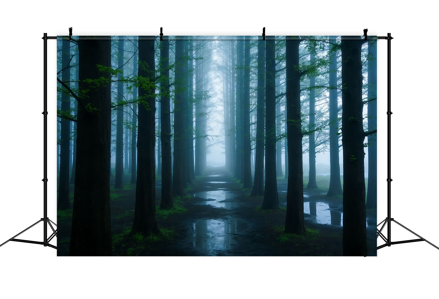 Spooky Forest Backdrop Misty Blue Woodland Corridor Backdrop Forest Theme CSH61-200