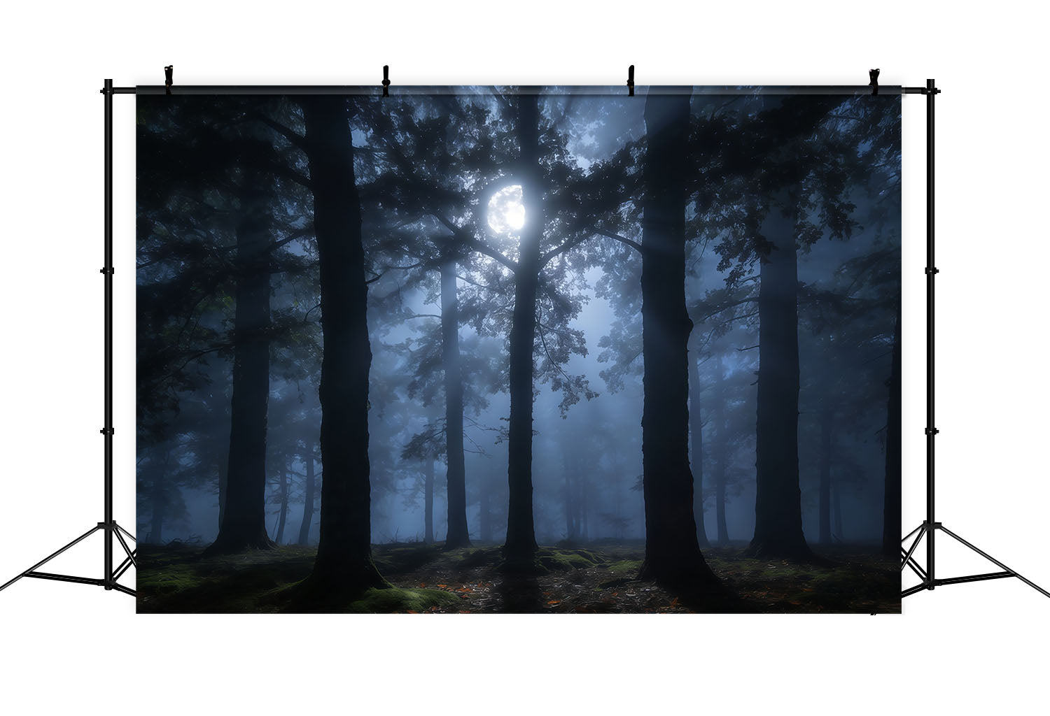 Creepy Forest Backdrop Misty Moon Shadowed Pines Forest Themed Backdrop CSH61-215