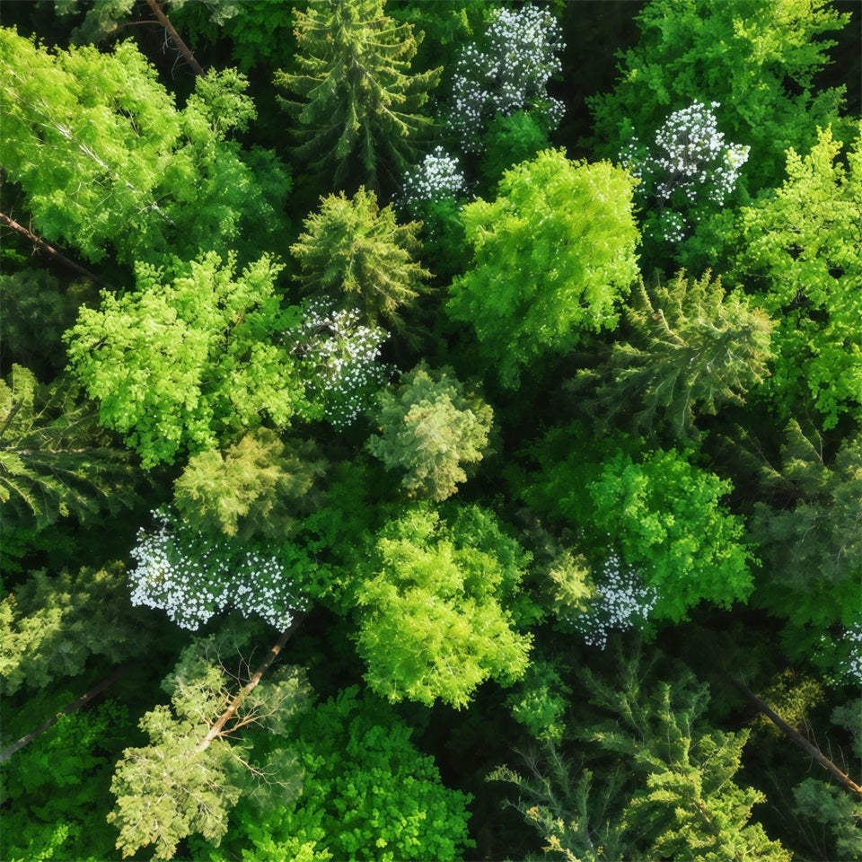 Pine Forest Backdrop Emerald Canopy Aerial View Forest Photography Backdrop CSH61-216