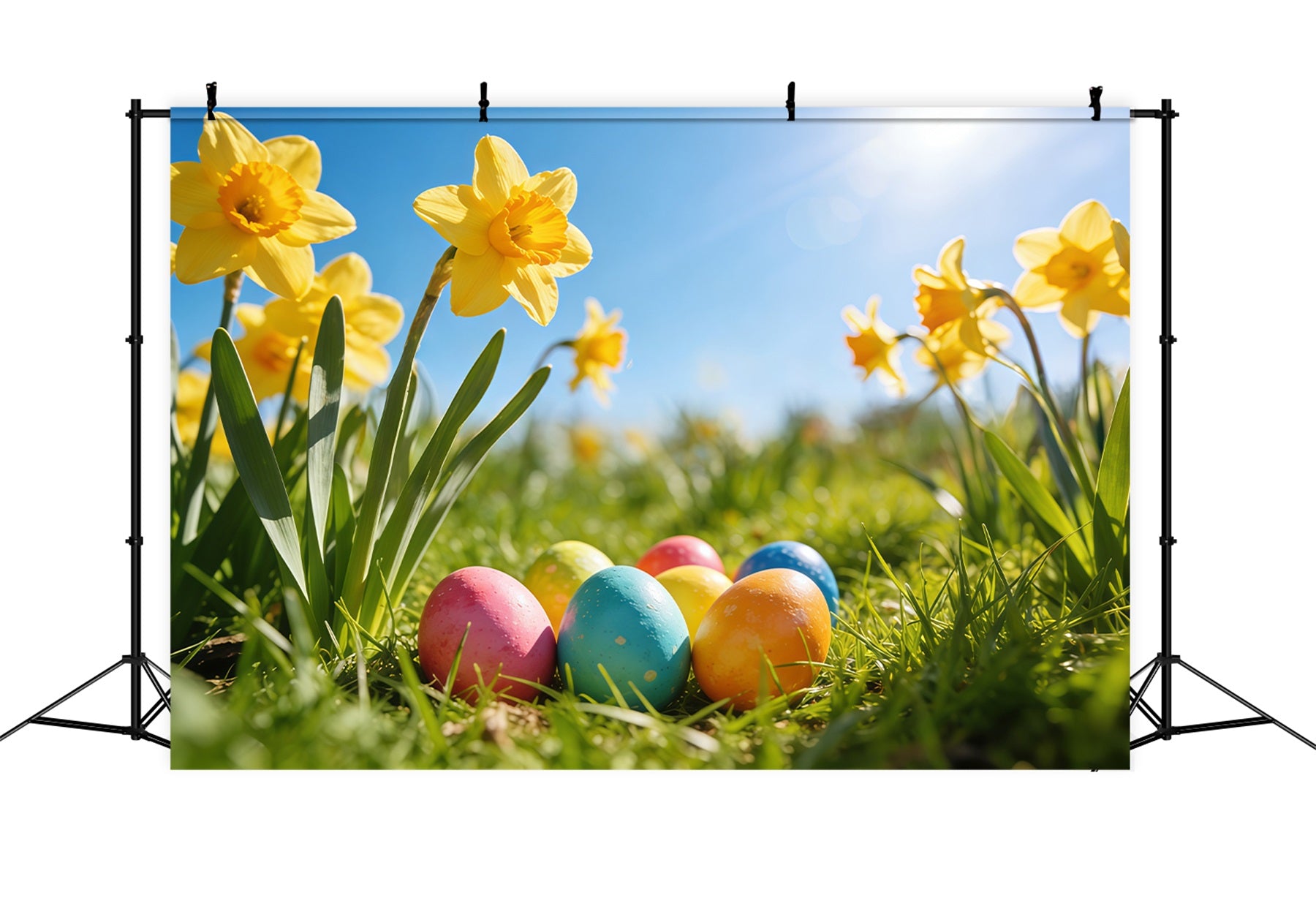 Easter Daffodil Backdrop Sunlight Meadow Painted Eggs Easter Backdrop For Photography CSH61-67