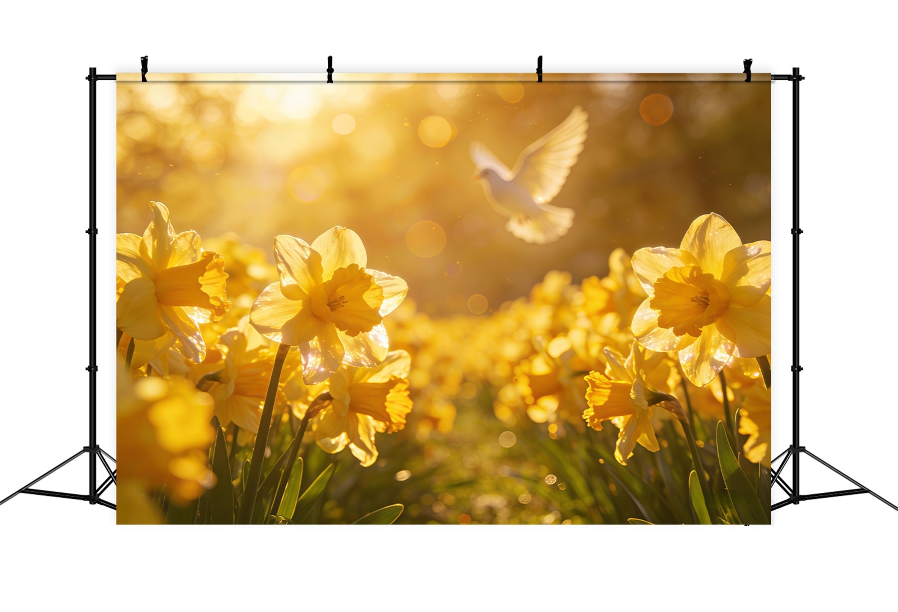 Easter Daffodil Backdrop Golden Spring Field Dove Glow Easter Backdrop For Photography CSH61-68