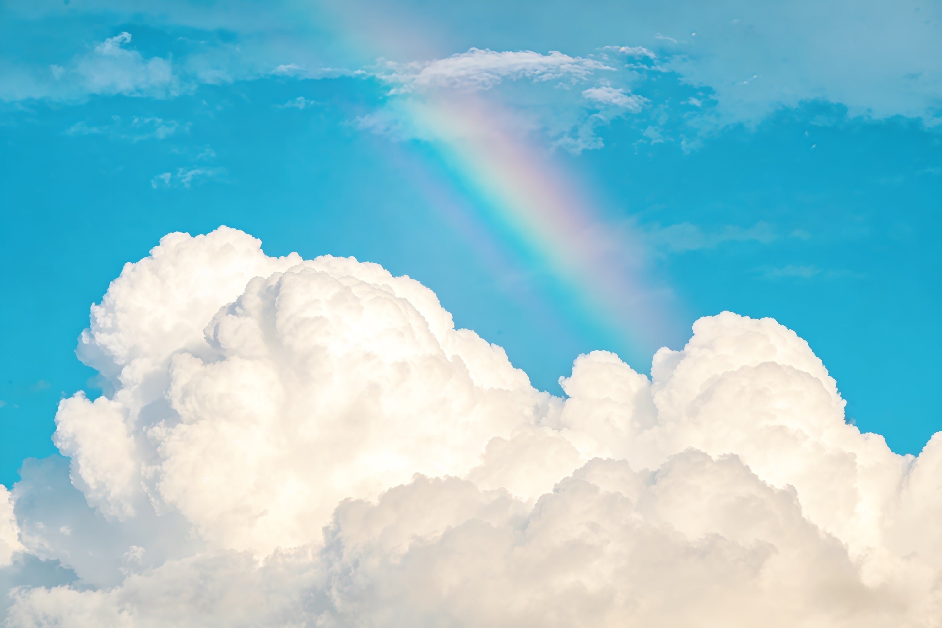 Blue Sky Photo Backdrop Rainbow Fluffy Clouds Sky Cloud Backdrop Photoshoot CSH62-130