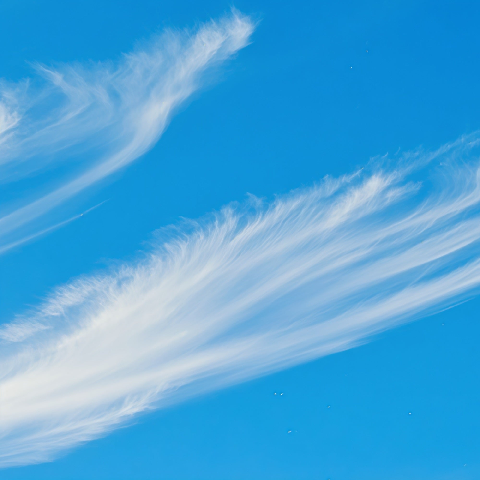Sky Backdrop Photography Wispy Cirrus Blue Sky Cloud Backdrop CSH62-135
