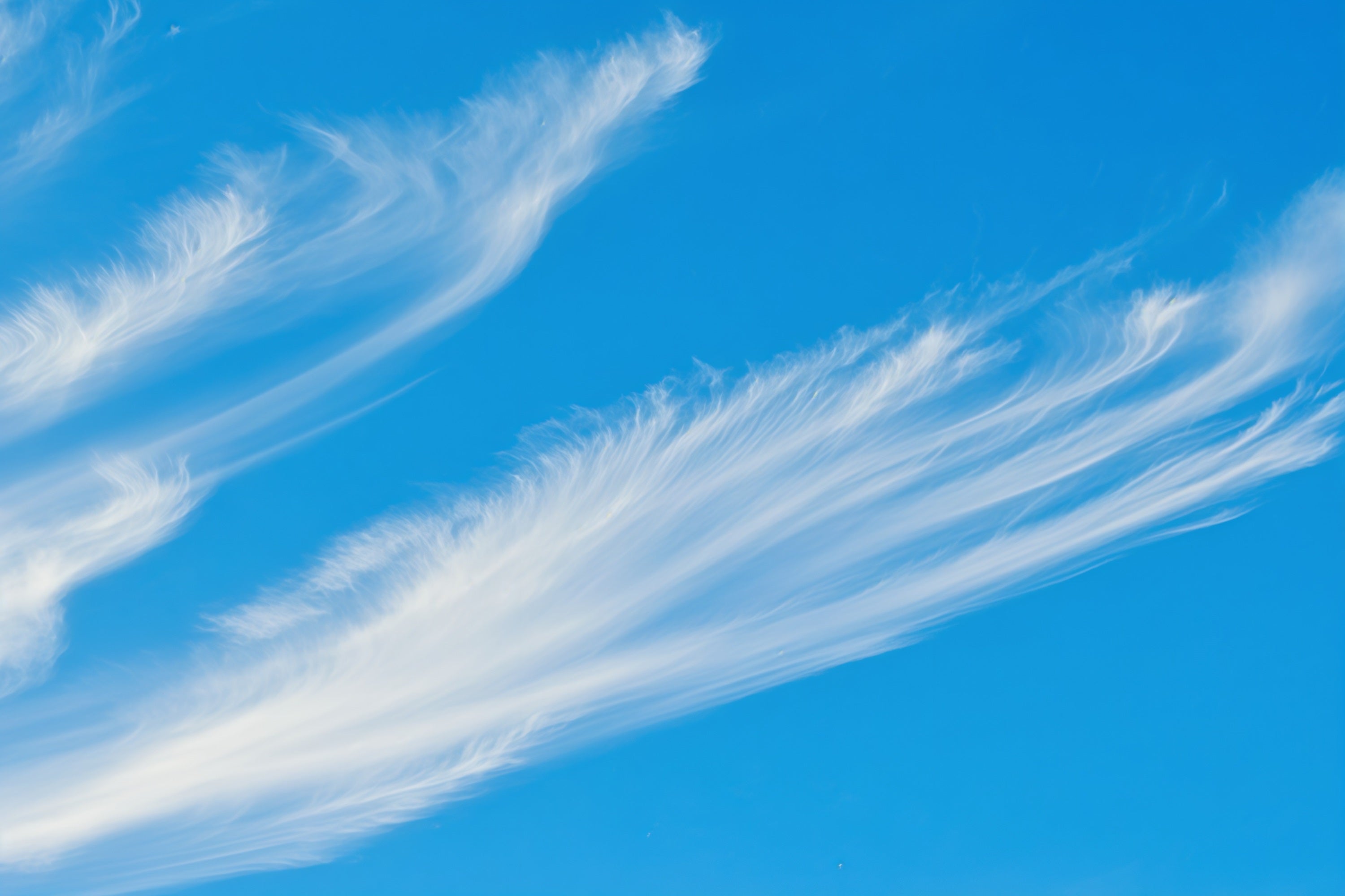 Sky Backdrop Photography Wispy Cirrus Blue Sky Cloud Backdrop CSH62-135