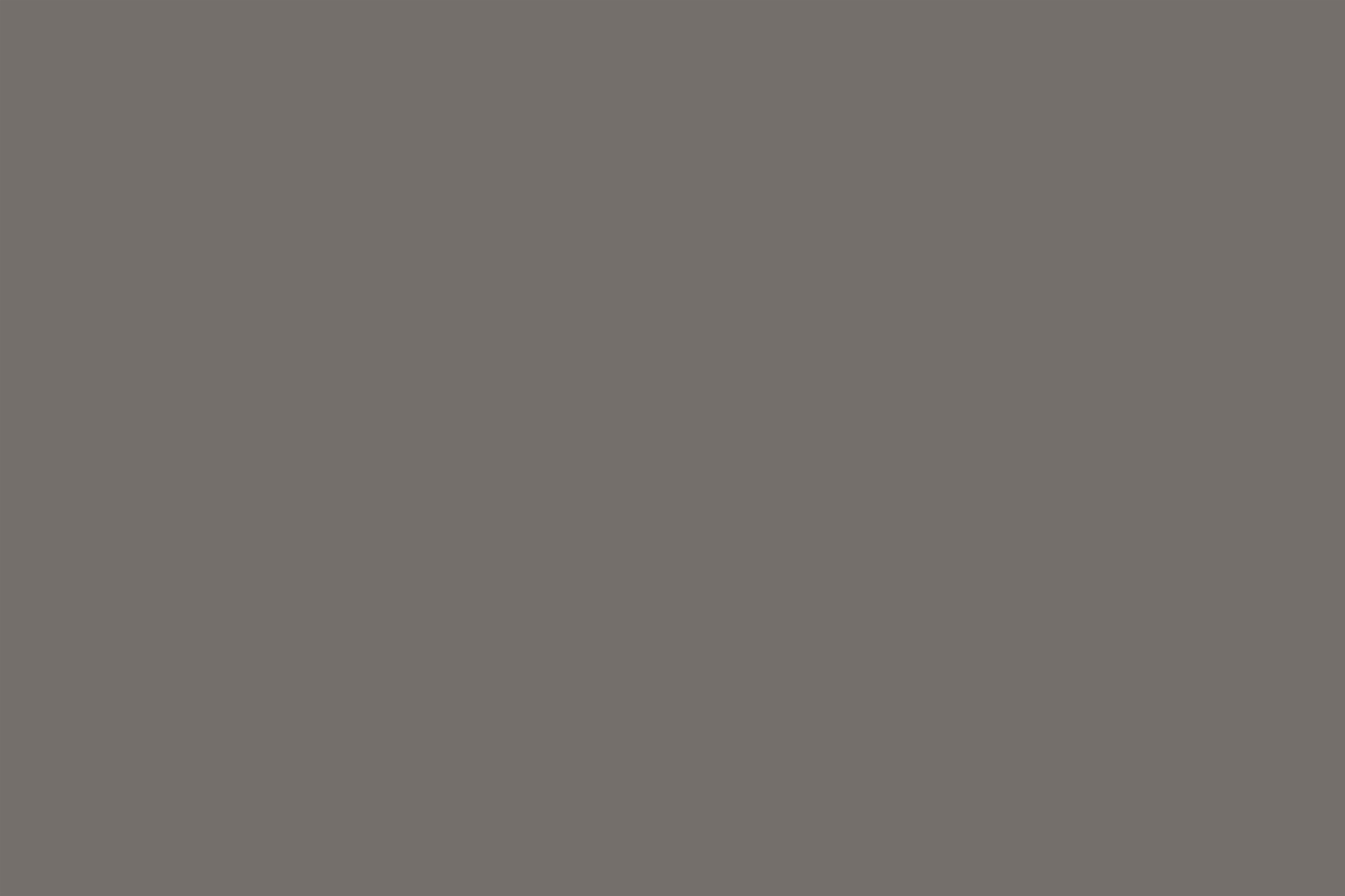 Gray Backdrop Deep Charcoal Grey Smooth Finish Solid Fabric Backdrop CSH62-14
