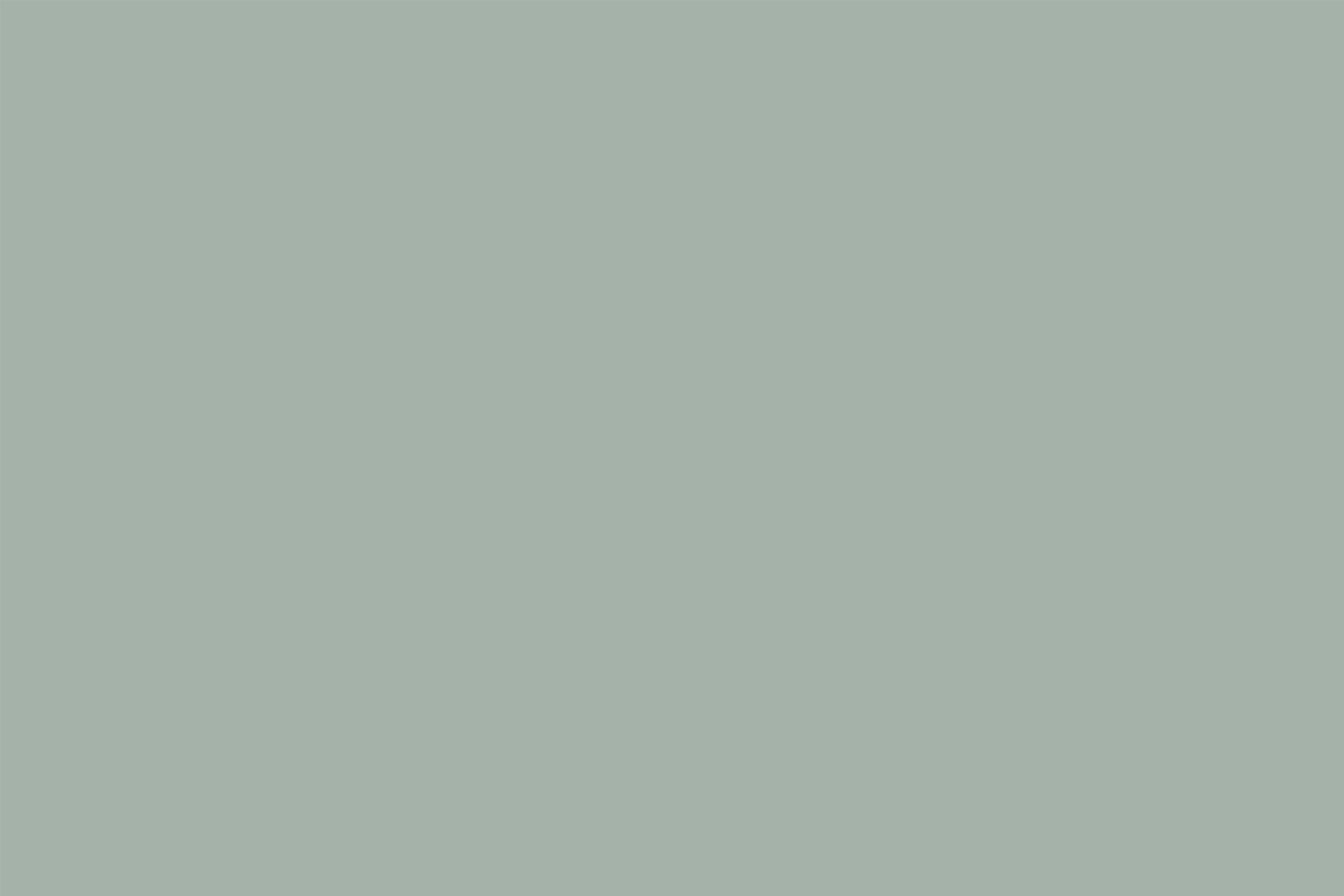 Greenery Backdrop Muted Sage Green Natural Calm Solid Color Backdrop CSH62-19