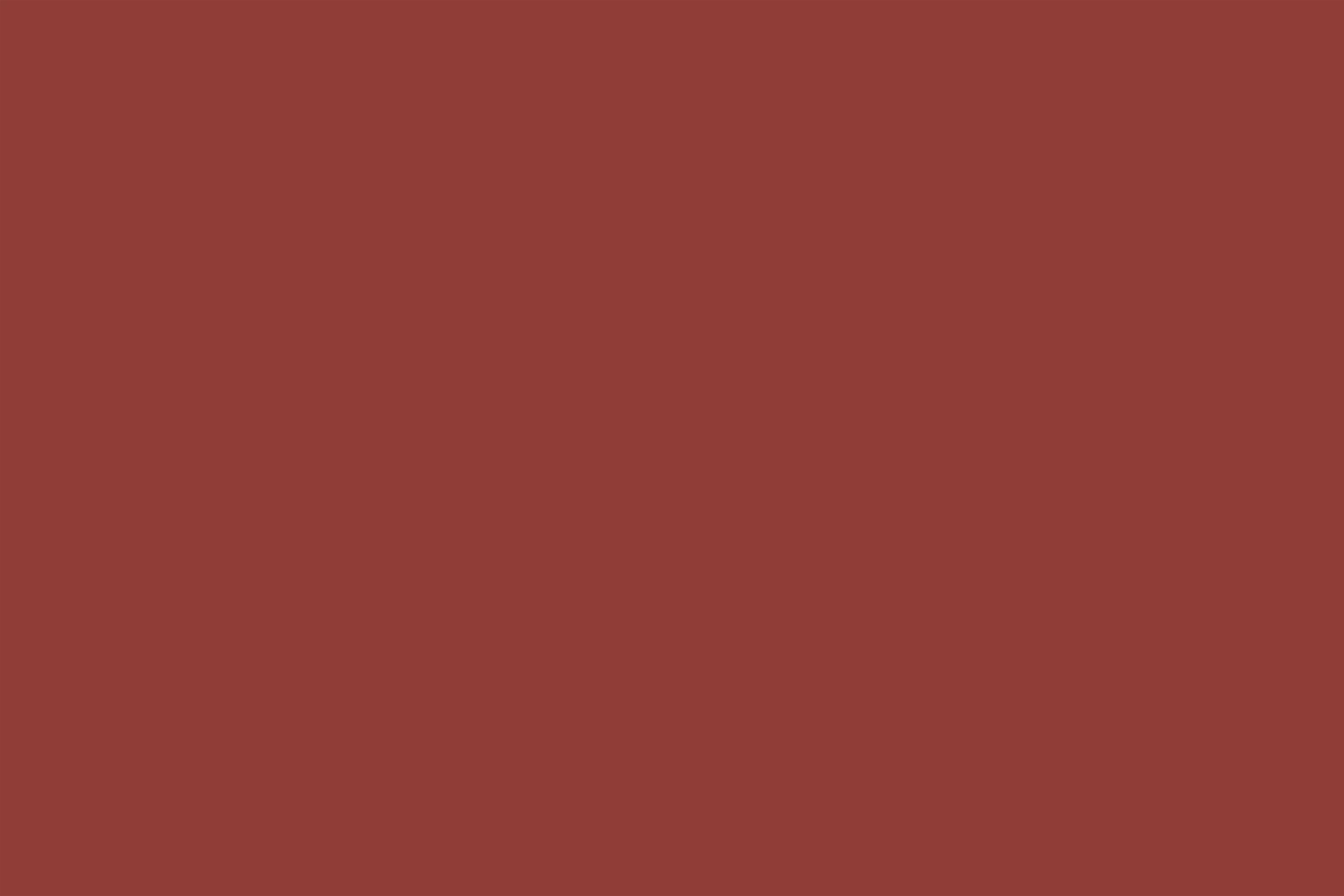 Red Photo Backdrop Deep Brick Red Classic Depth Solid Color Backdrop CSH62-24