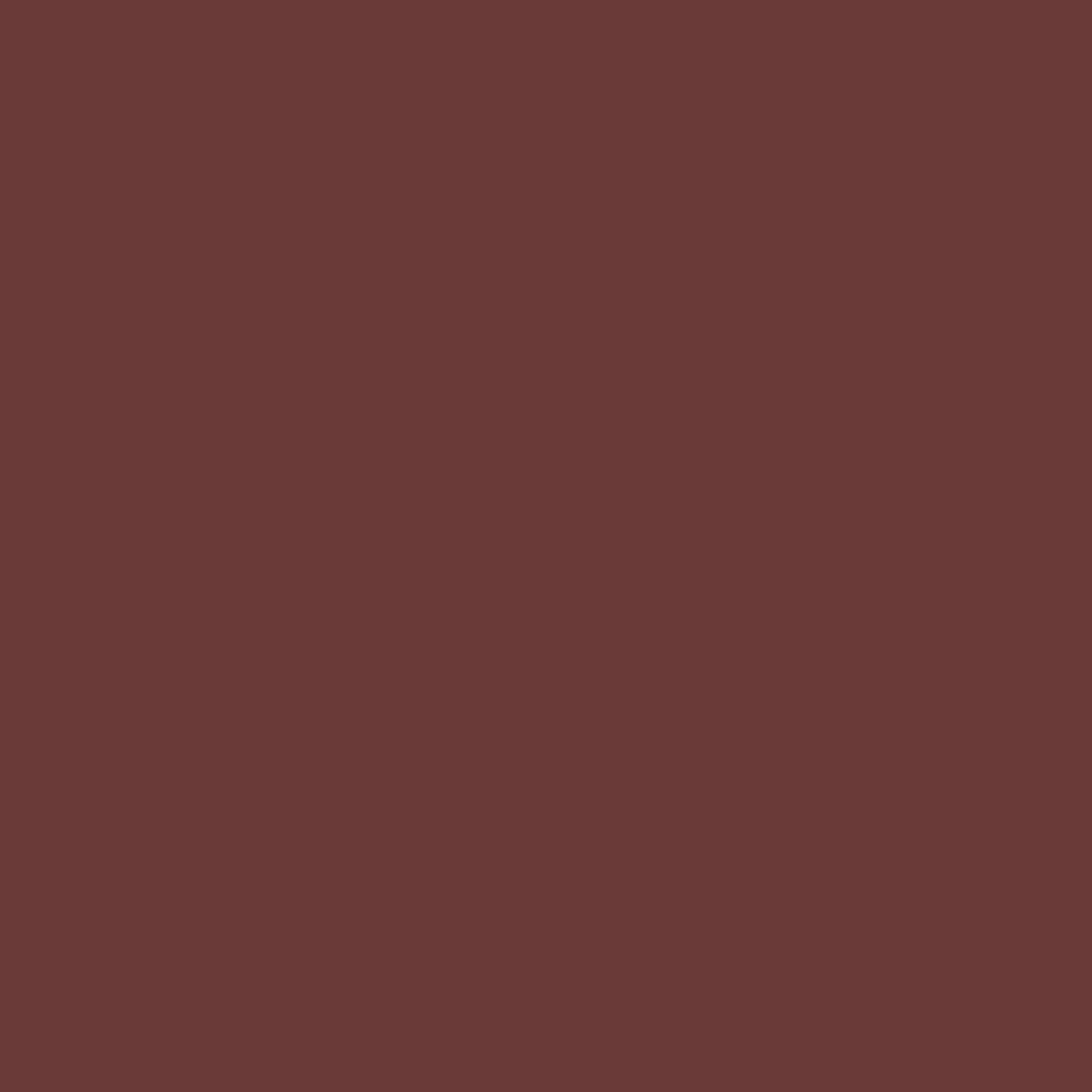 Brown Backdrop Rich Chestnut Brown Matte Tone Solid Backdrop For Photography CSH62-25