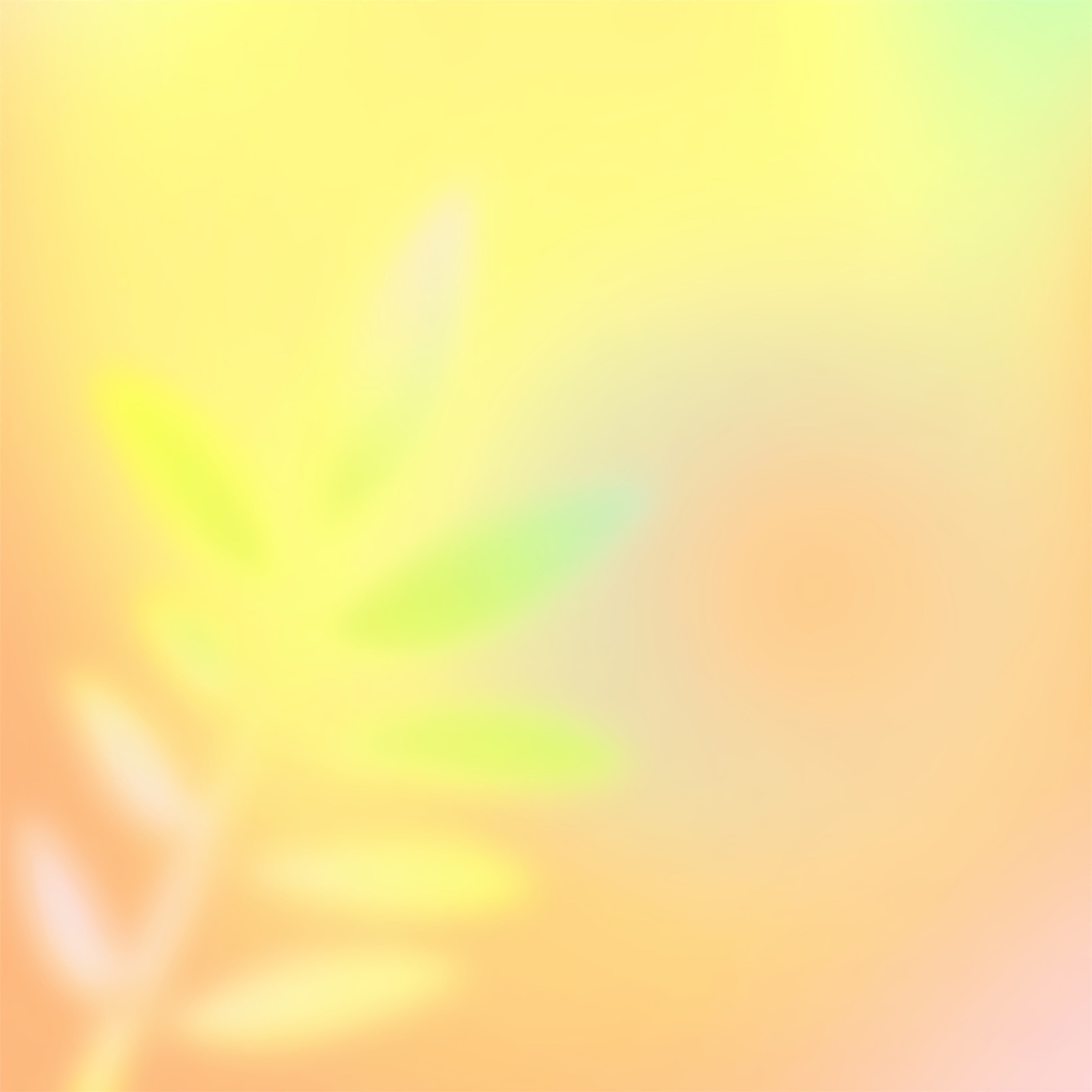 Gradient Photo Backdrop Sunrise Yellow Green Pink Blend Headshot Backdrop Ideas CSH62-46