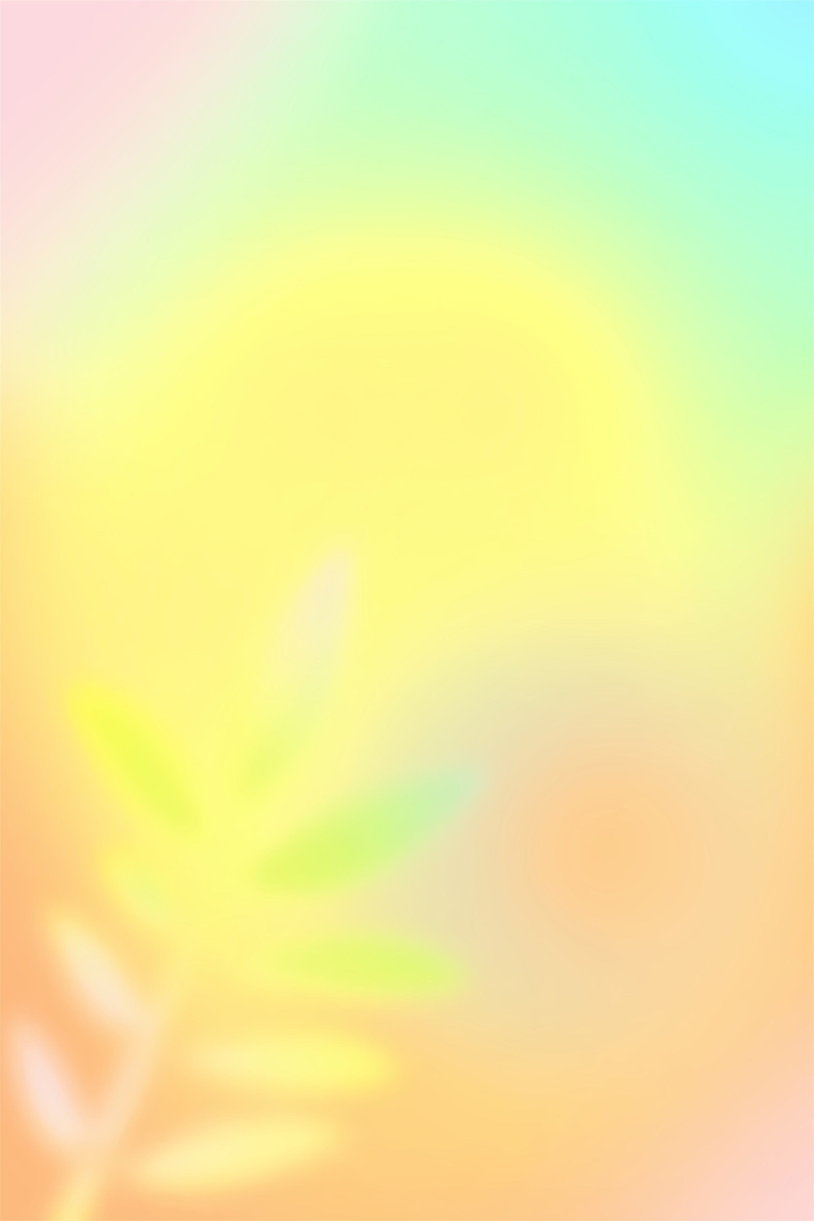 Gradient Photo Backdrop Sunrise Yellow Green Pink Blend Headshot Backd