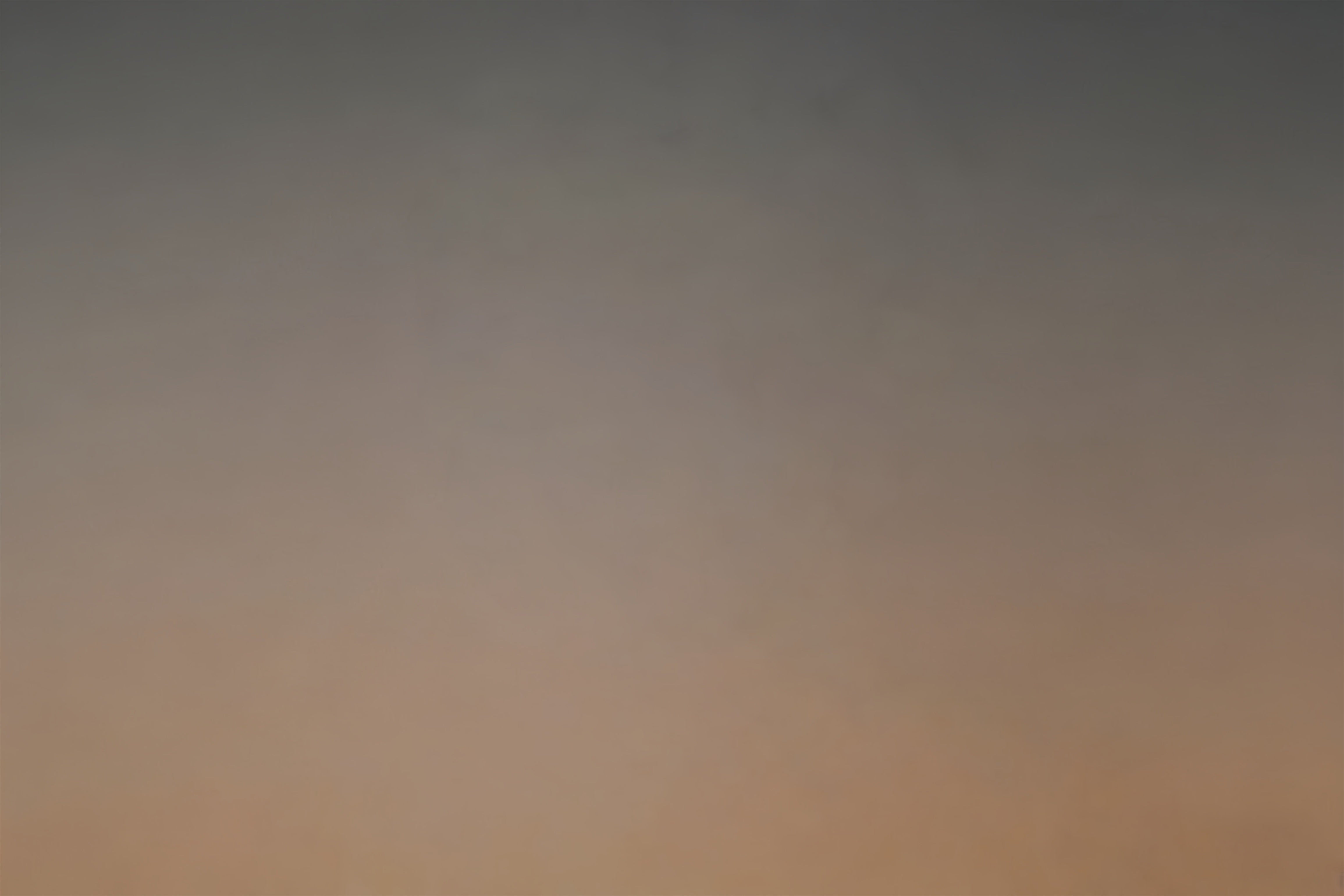 Portrait Gradient Backdrop Warm Neutral Dusk Gradient Best Backdrops For Headshots CSH62-59