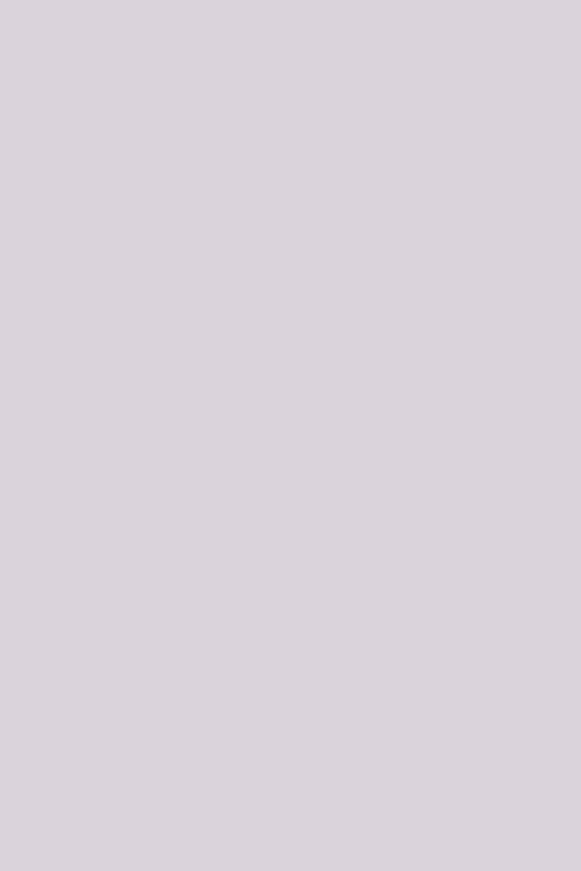 Light Purple Backdrop Muted Lavender Grey Calm Tone Solid Backdrops CSH62-6