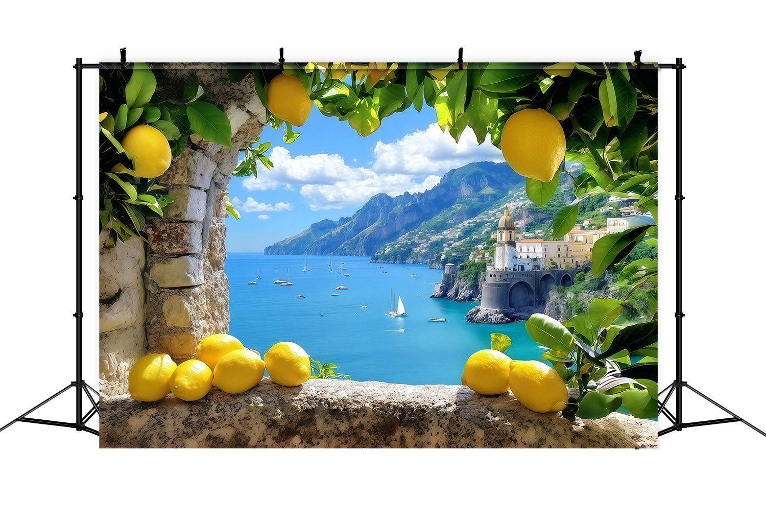 Amalfi Coast Backdrop Lemons Mediterranean Sea Scenery Summer Backdrop Ideas CSH64-81