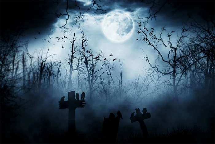 Halloween Forest Moonlit Raven Foggy Graveyard Garage Door Cover CSH67-50-2 car