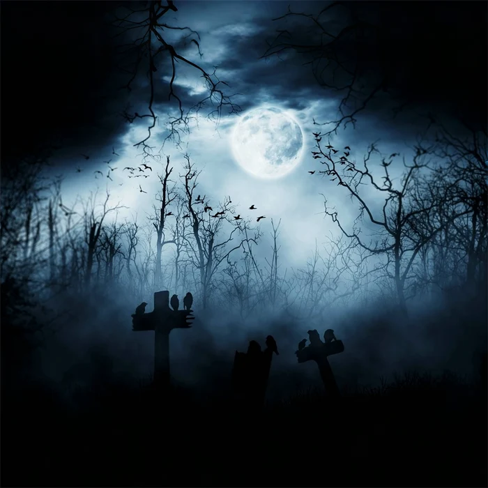 Halloween Forest Moonlit Raven Foggy Graveyard Garage Door Cover CSH67-50-1 car