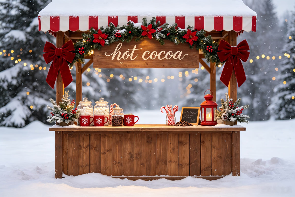 Snowy Christmas Backdrop Hot Cocoa Winter Stand Indoor Christmas Backdrop CSH69-46