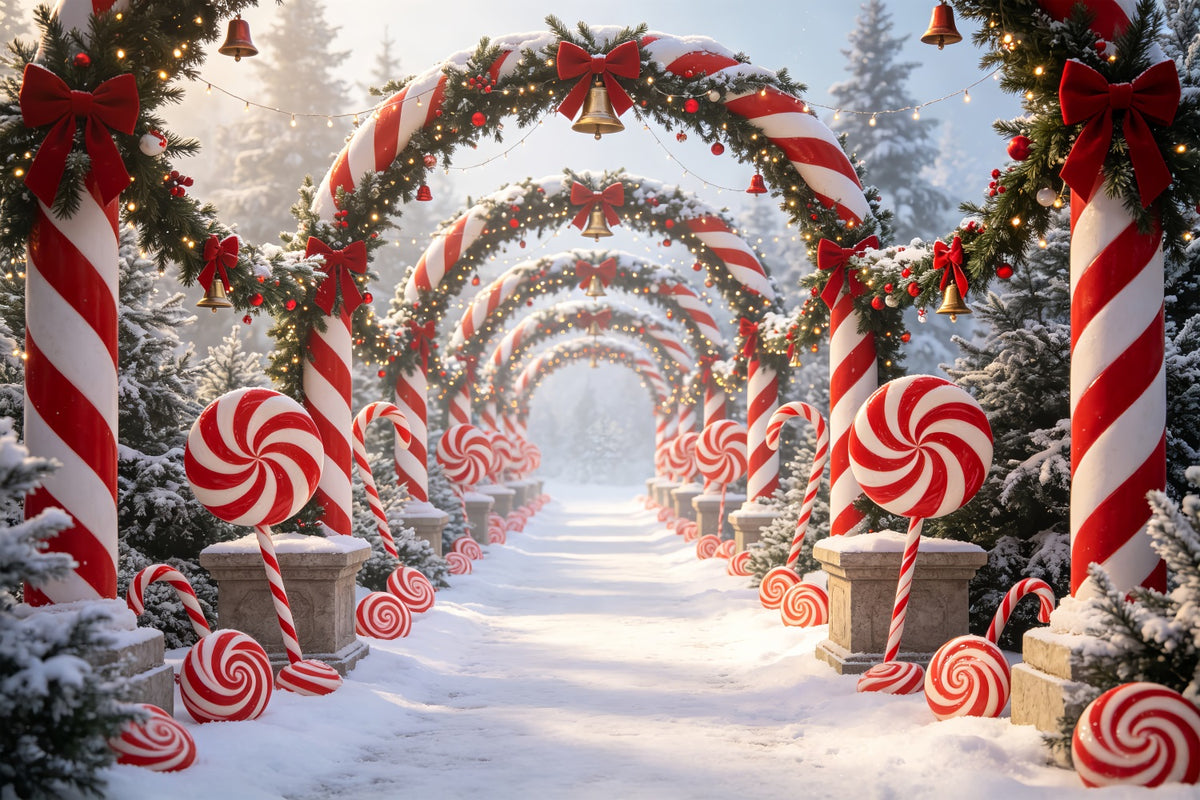 Candy Cane Lane Backdrop Snowy Forest Archway Pathway 3D Christmas Backdrop CSH69-59