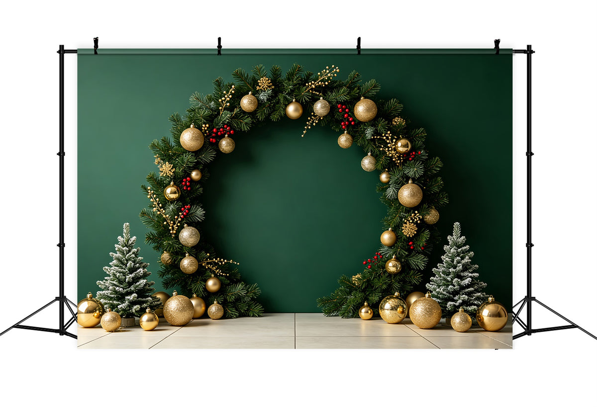 Christmas Photo Backdrops Green Ornament Arch Display Christmas Portrait Backdrop CSH69-60
