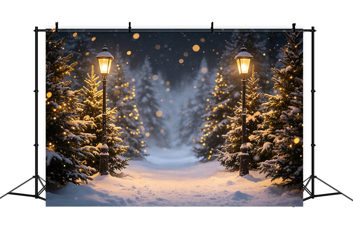 High Resolution Christmas Photo Backdrop Snowy Lantern Forest Path Outdoor Christmas Backdrop CSH69-96