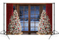 Christmas  Winter Snow Window Backdrop for Photography D814