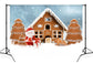 Gingerbread House Candy Canes Photo Shoot Backdrop  D823