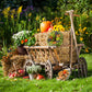 Halloween Farm Autumn Harvest Season Backdrop for Photography DBD-19066