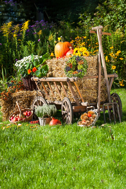 Halloween Farm Autumn Harvest Season Backdrop for Photography DBD-19066