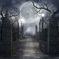 Halloween Dark Night Moonlight Backdrop for Photography DBD-P19074