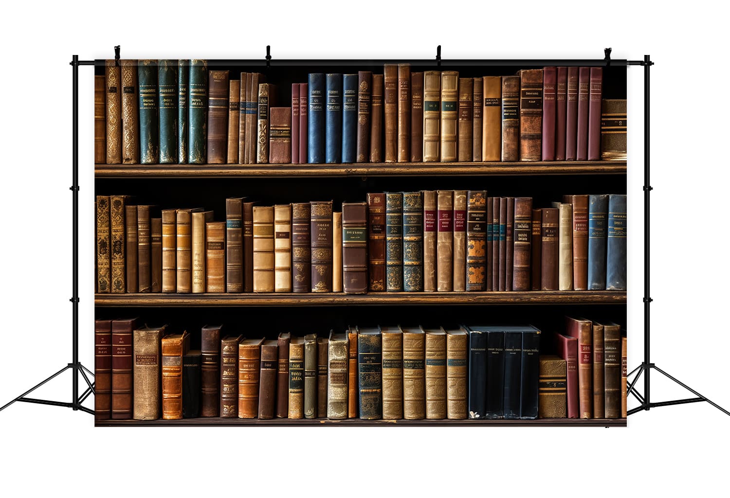 Back Drop Book Library Bookshelf Books Back to School Backdrop DBD7-24 – Dbackdrop
