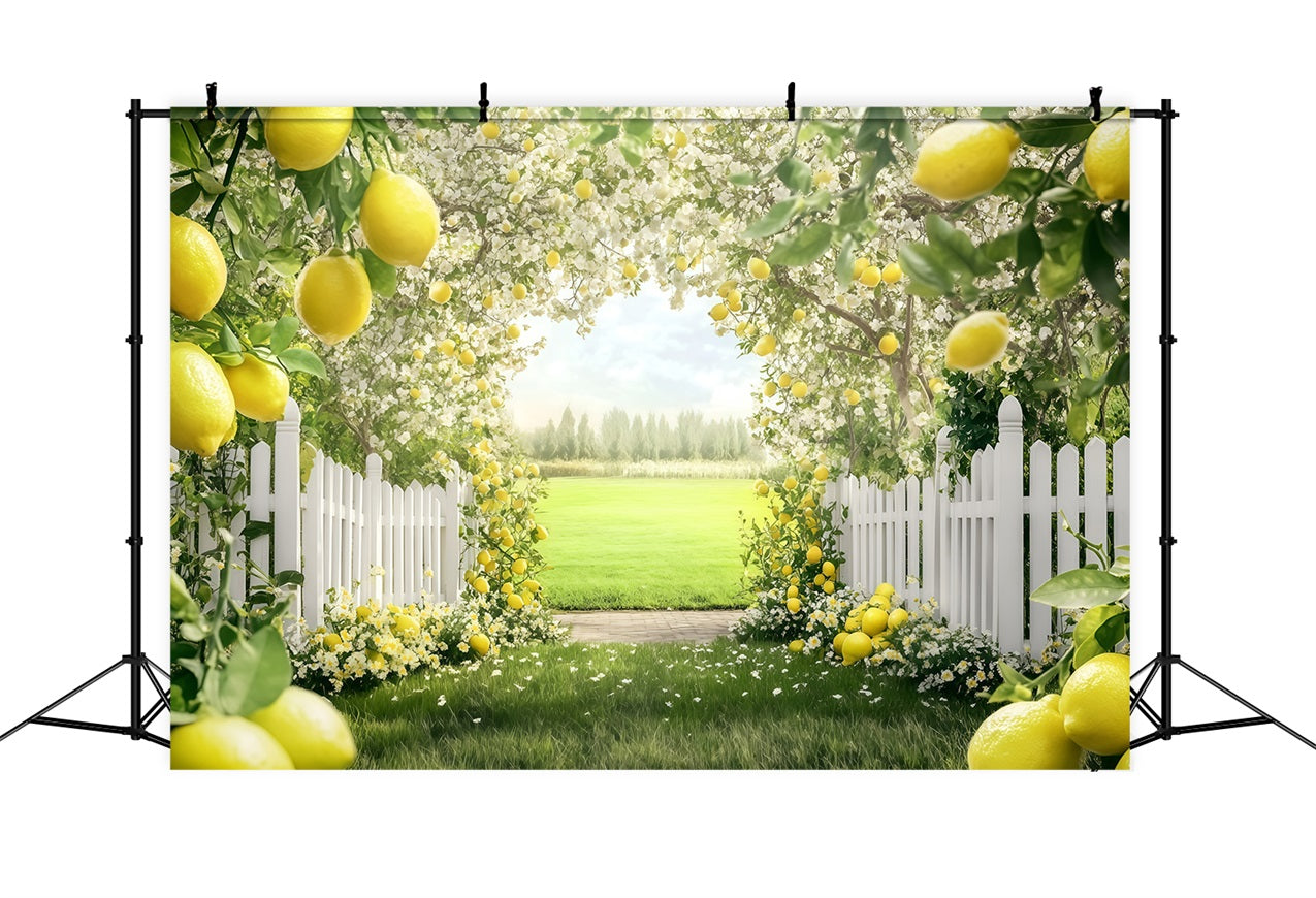 Lemon Backdrop Blooming Summer Tree Path Backdrop GQ4-265