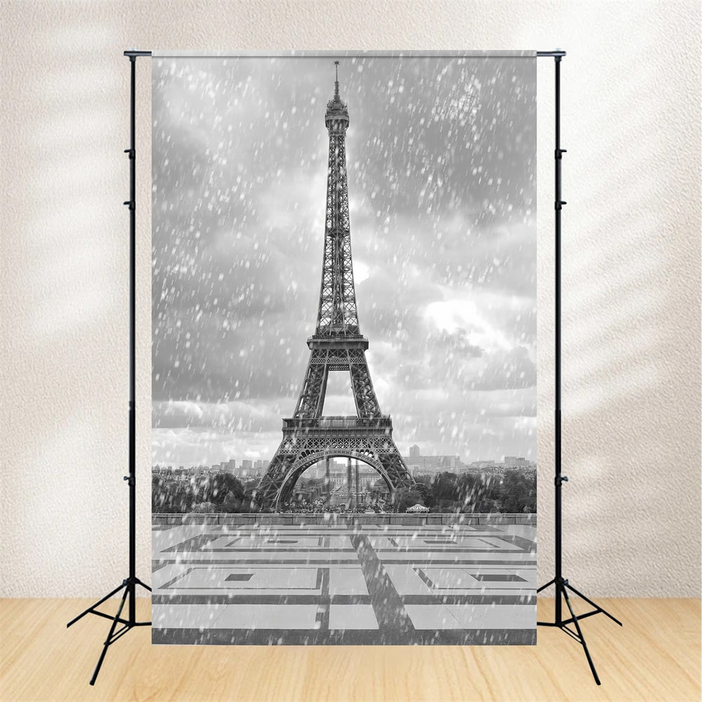 Paris Photo Backdrop Vintage Eiffel Tower Rainfall Backdrop GQ4-62