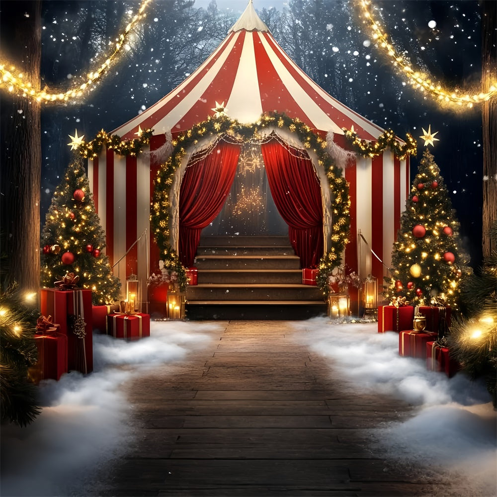 Circus Tent Backdrop Holiday Striped Tent Lights Backdrop GQ5-117