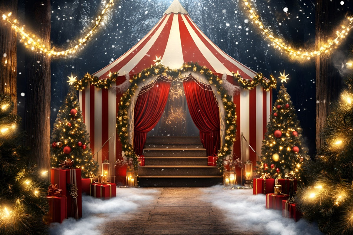 Circus Tent Backdrop Holiday Striped Tent Lights Backdrop GQ5-117