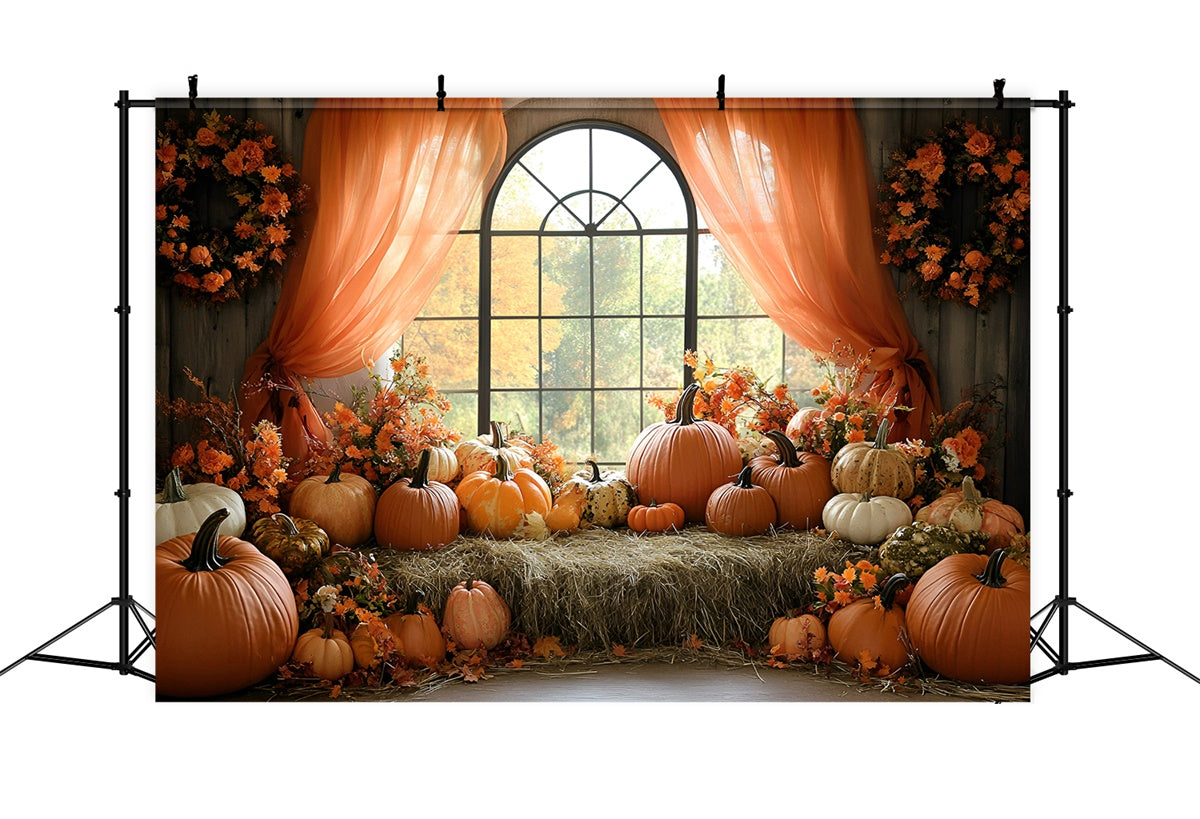 Autumn Photo Backdrop Pumpkin Window Harvest Backdrop GQ57-110